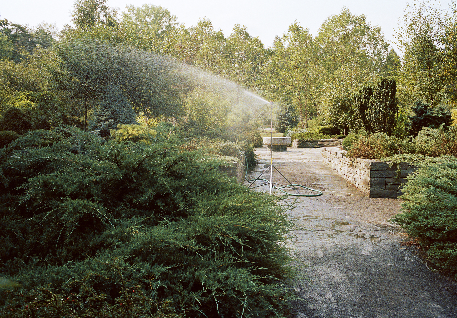 Cornell botanic gardens, 2008